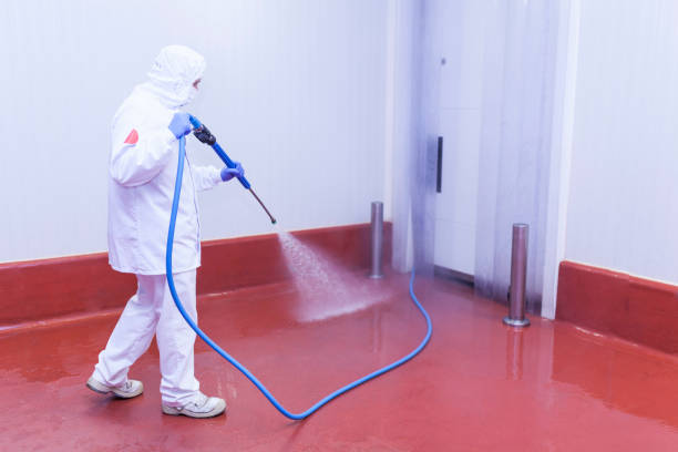 Best House Exterior Washing  in Reedurban, OH