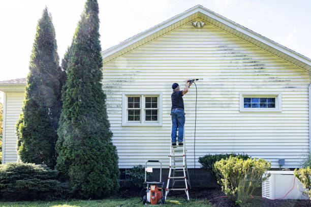 Best Spring Cleaning  in Reedurban, OH